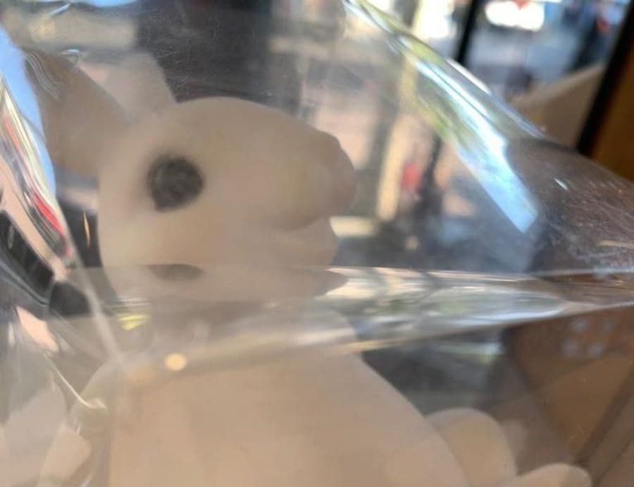 Whats App Image 2021 11 24 at 12 13 02 PM