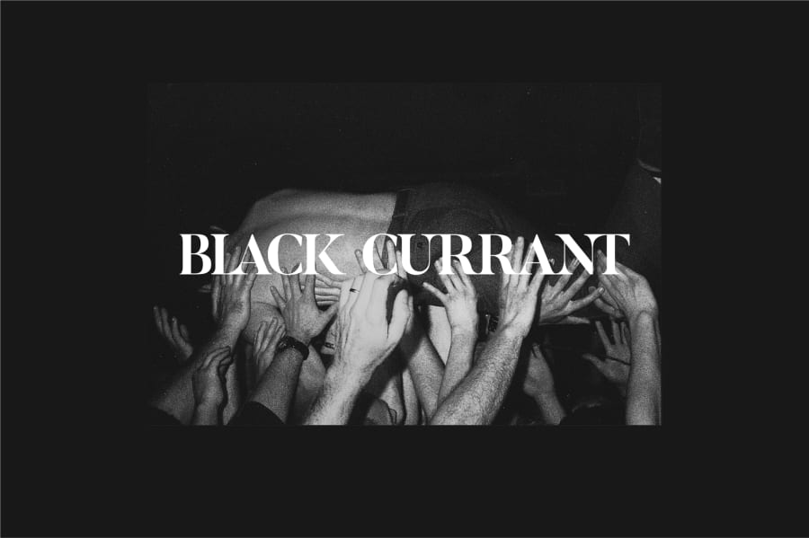 Black Currant website