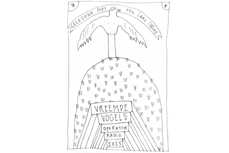 Vreemde Vogels Radio 45