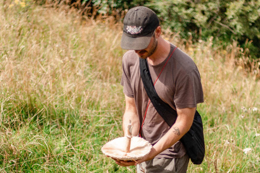 just felix resident picture