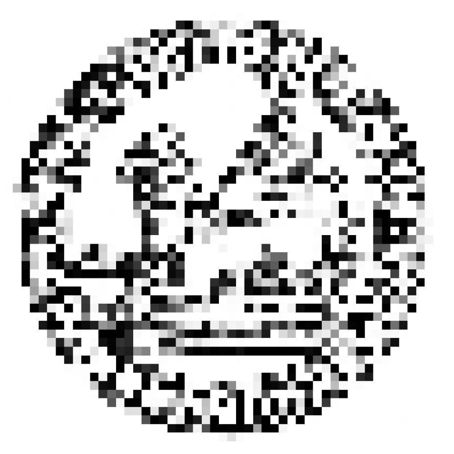 Samsara new