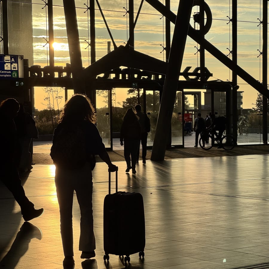 natural selection 02