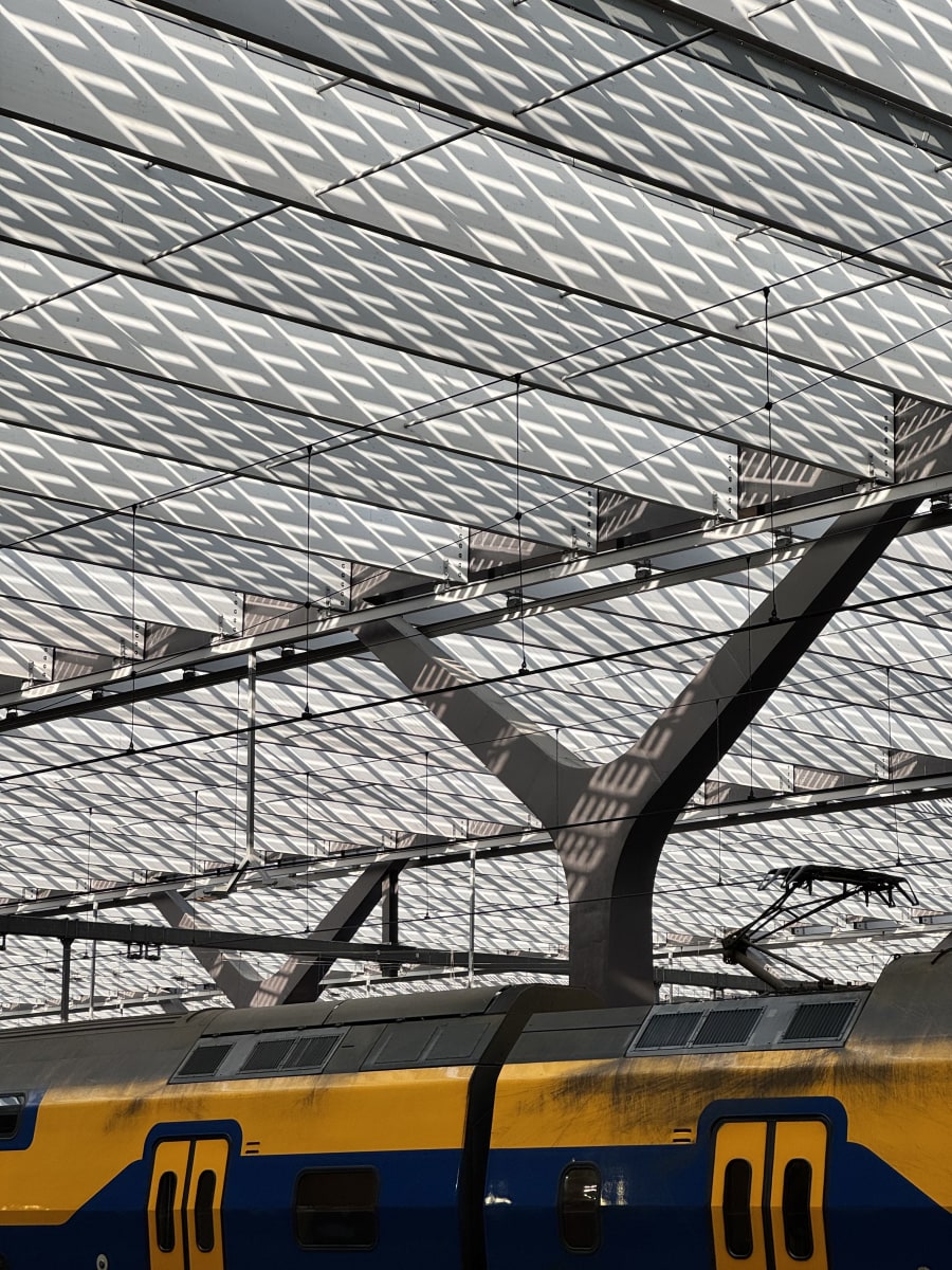 natural selection 03