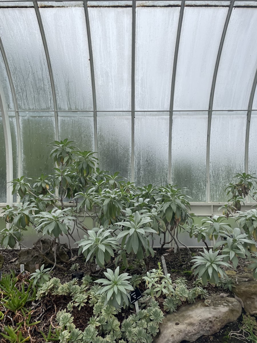 natural selection - 04