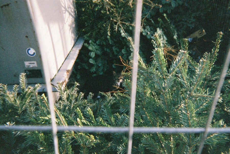 Same but different 09