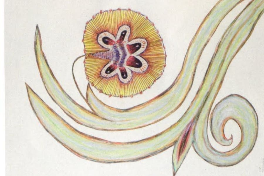 soothing sounds radio 19