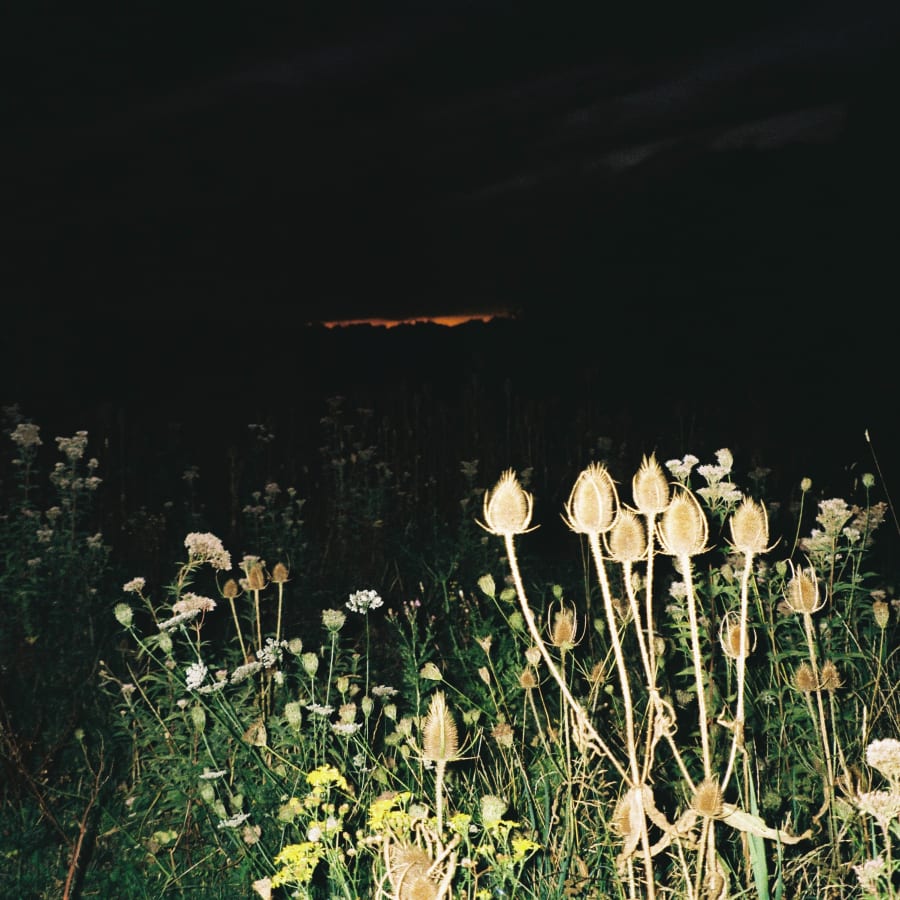 Le Telephone Rose Epiphania