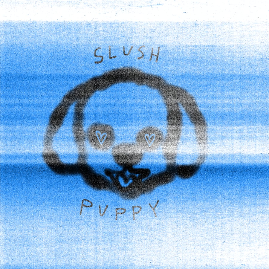 Slush Puppy june26