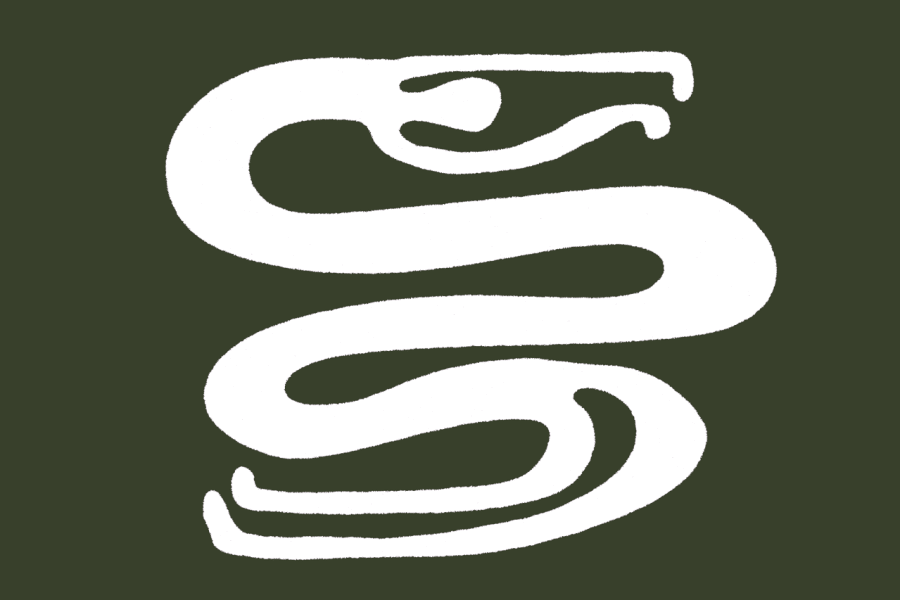 spine 05