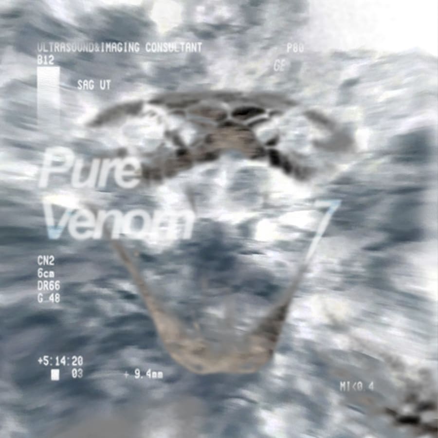 Pure Venom 7