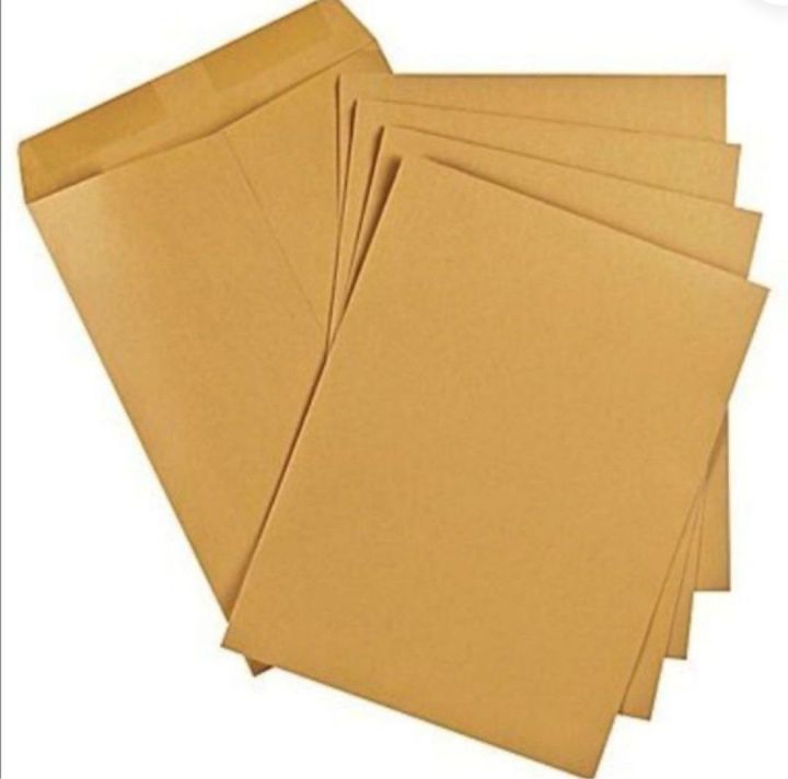 A4 Envelope photo 1