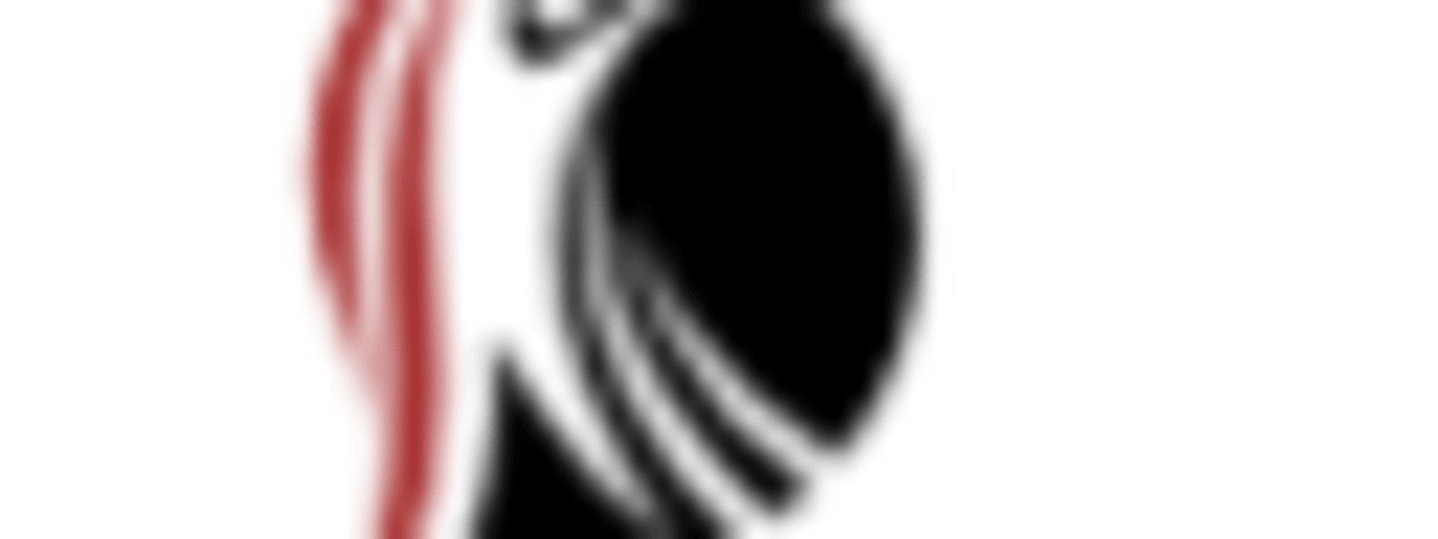 REDTRIM LLC cover