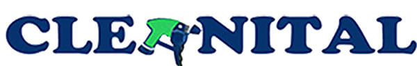 CLEANITAL LLC logo
