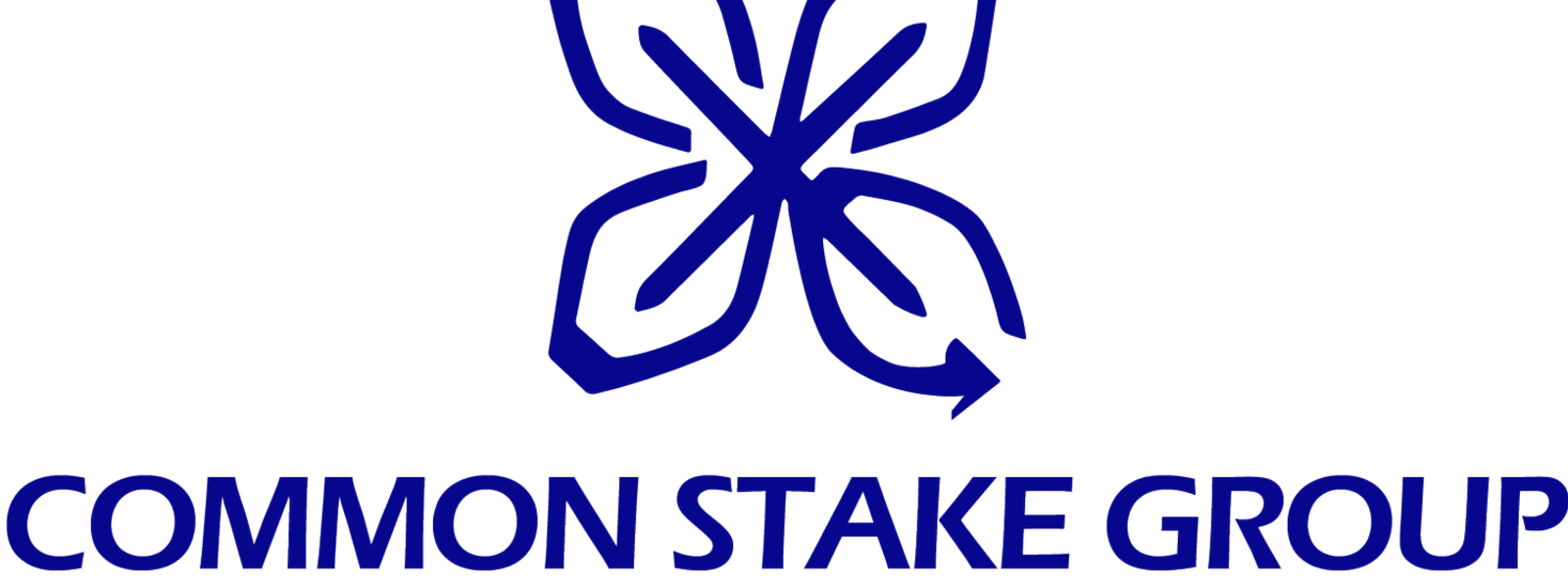 COMMON STAKE GROUP INC cover