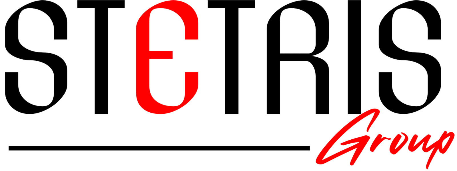 STETRIS GROUP LLC, THE cover