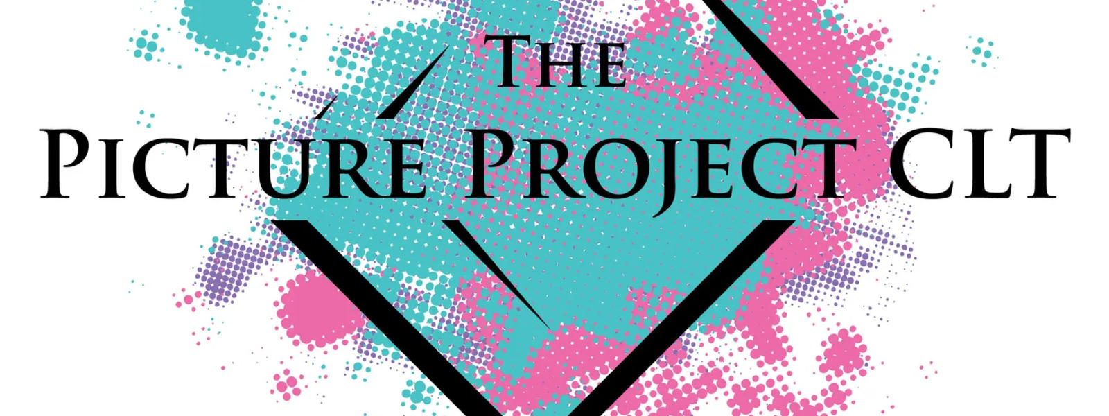The Picture Project CLT cover