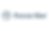 Rapid Strategy logo