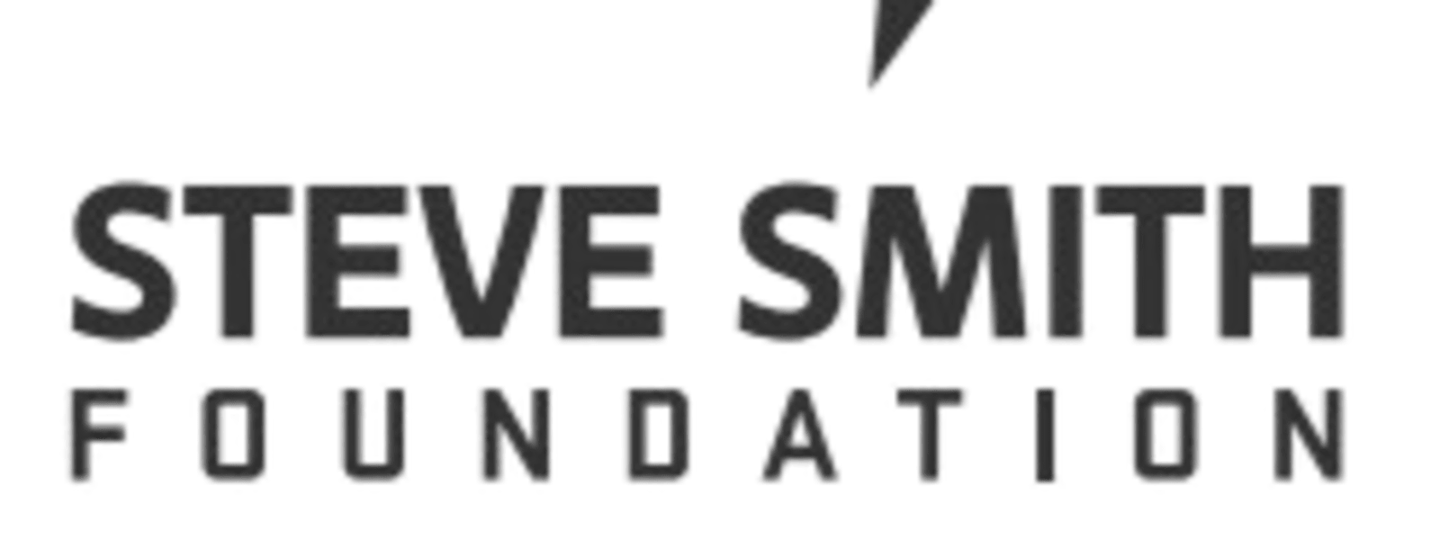 STEVE SMITH FAMILY FOUNDATION, THE cover