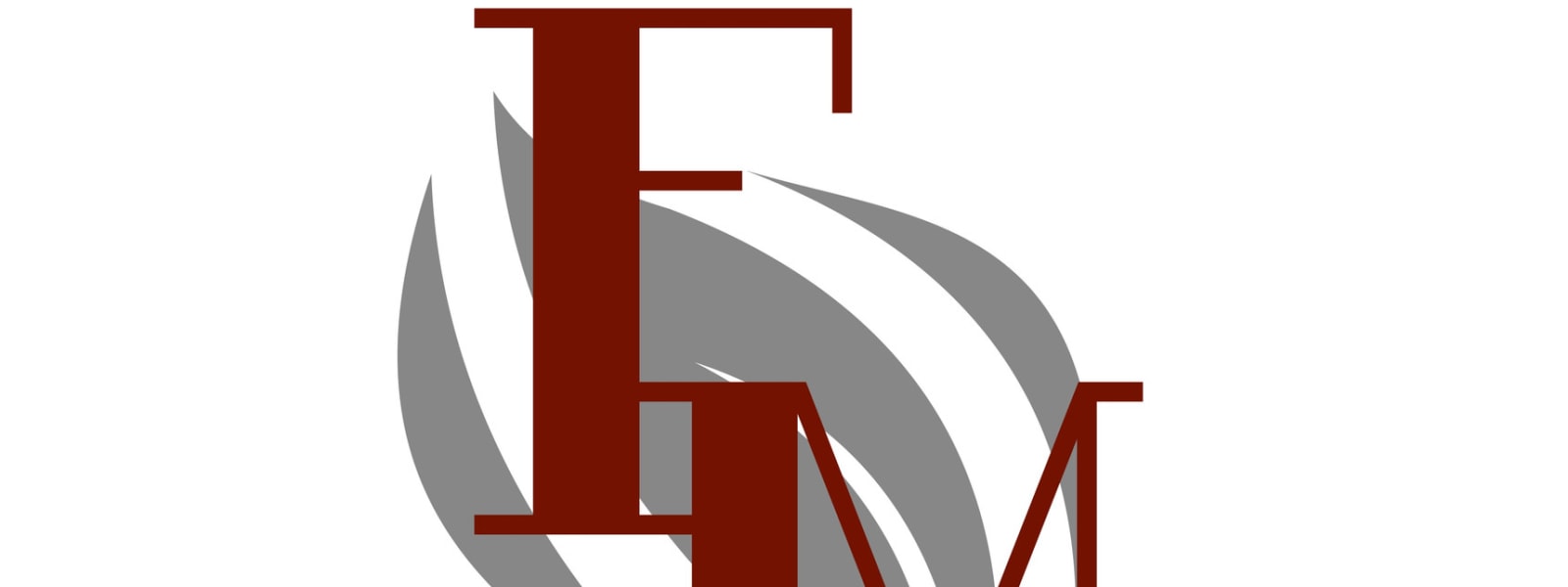 FM CONSULTING GROUP LLC cover