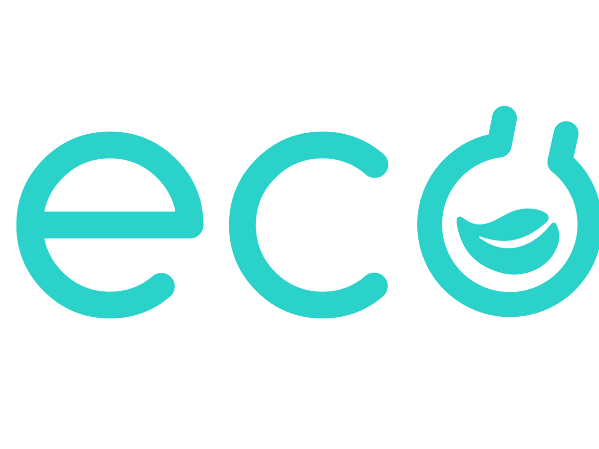 ECODYST INC cover