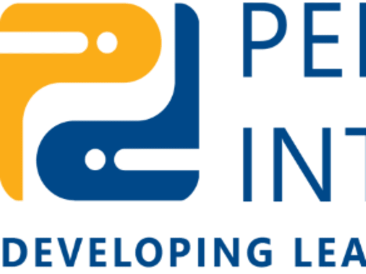 PROFESSIONAL PROTECTION, INCORPORATED cover