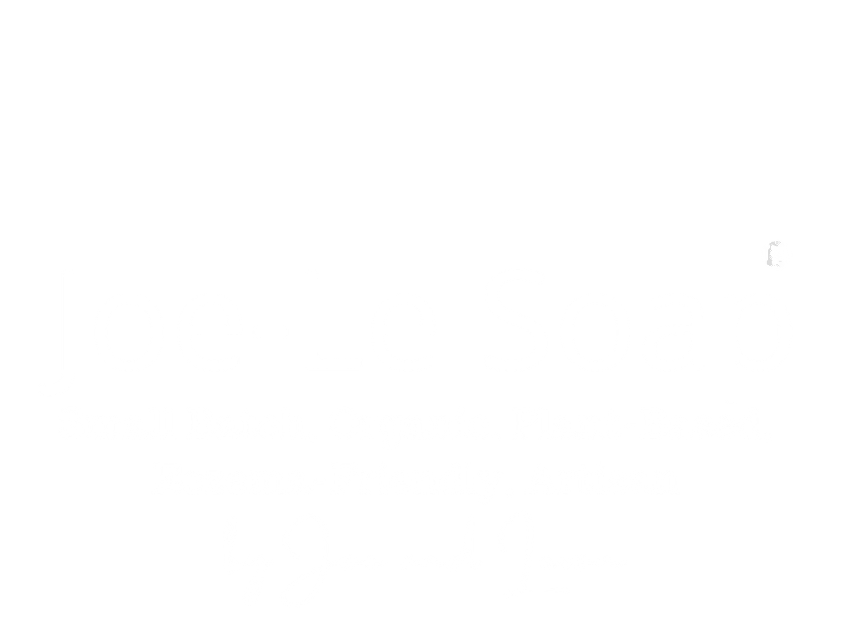 Joe-Le Soap cover