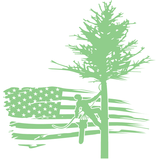Chester Tree Care logo