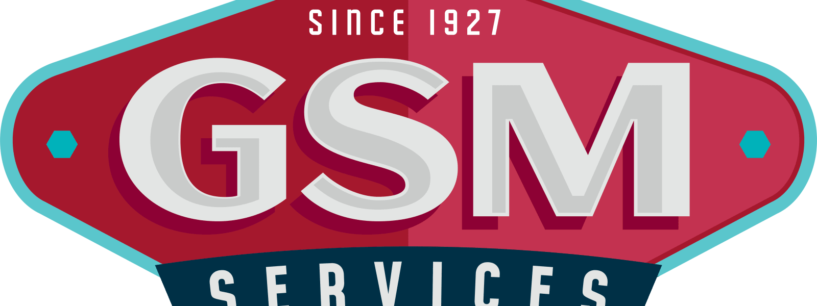 GSM Services cover