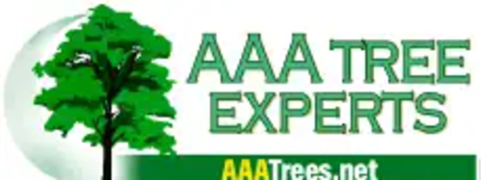 AAA Tree Experts cover