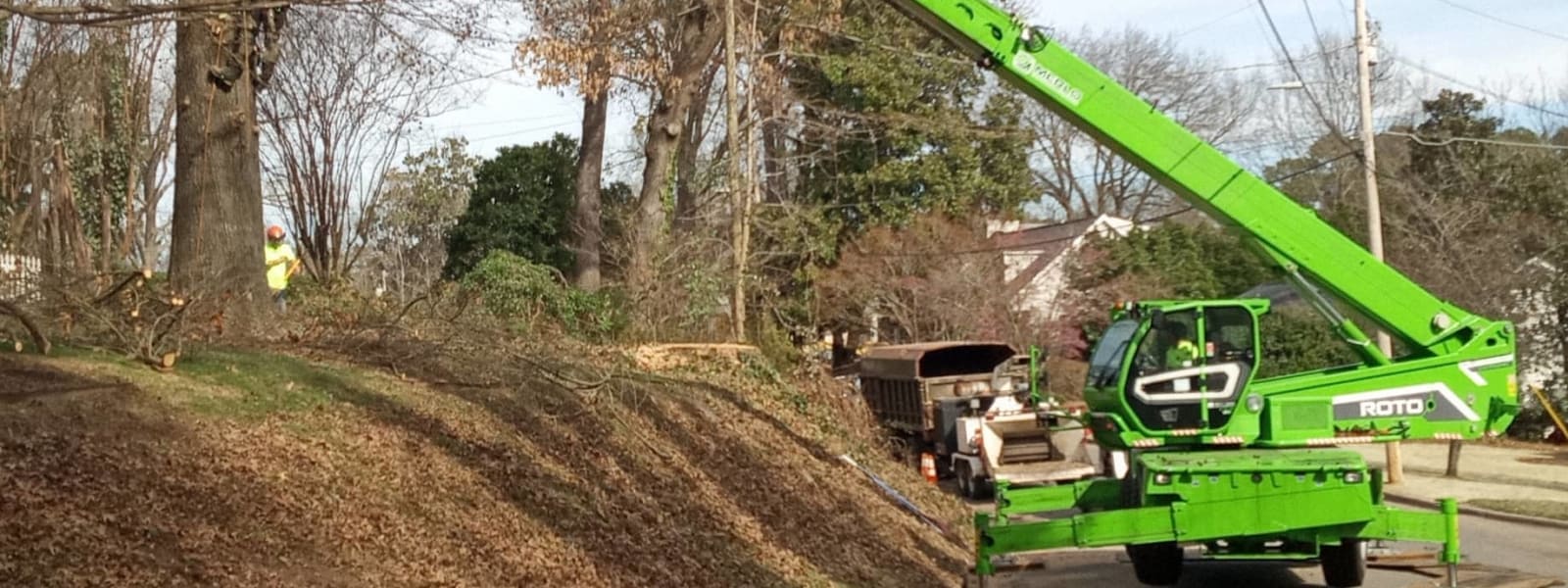 Raleigh Tree Service cover