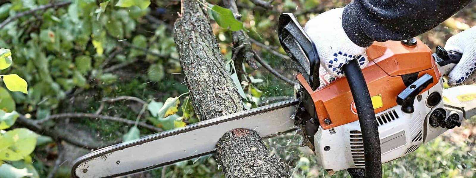 Precision Arborcare LLC cover