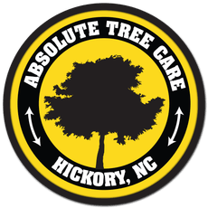 Absolute Tree Care of Hickory, LLC logo