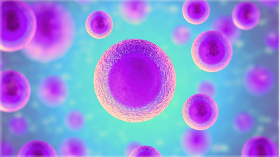 MalarIA