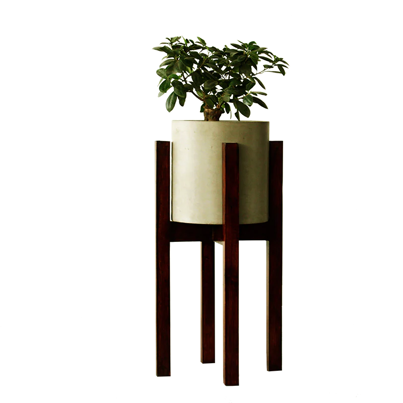image-arbol