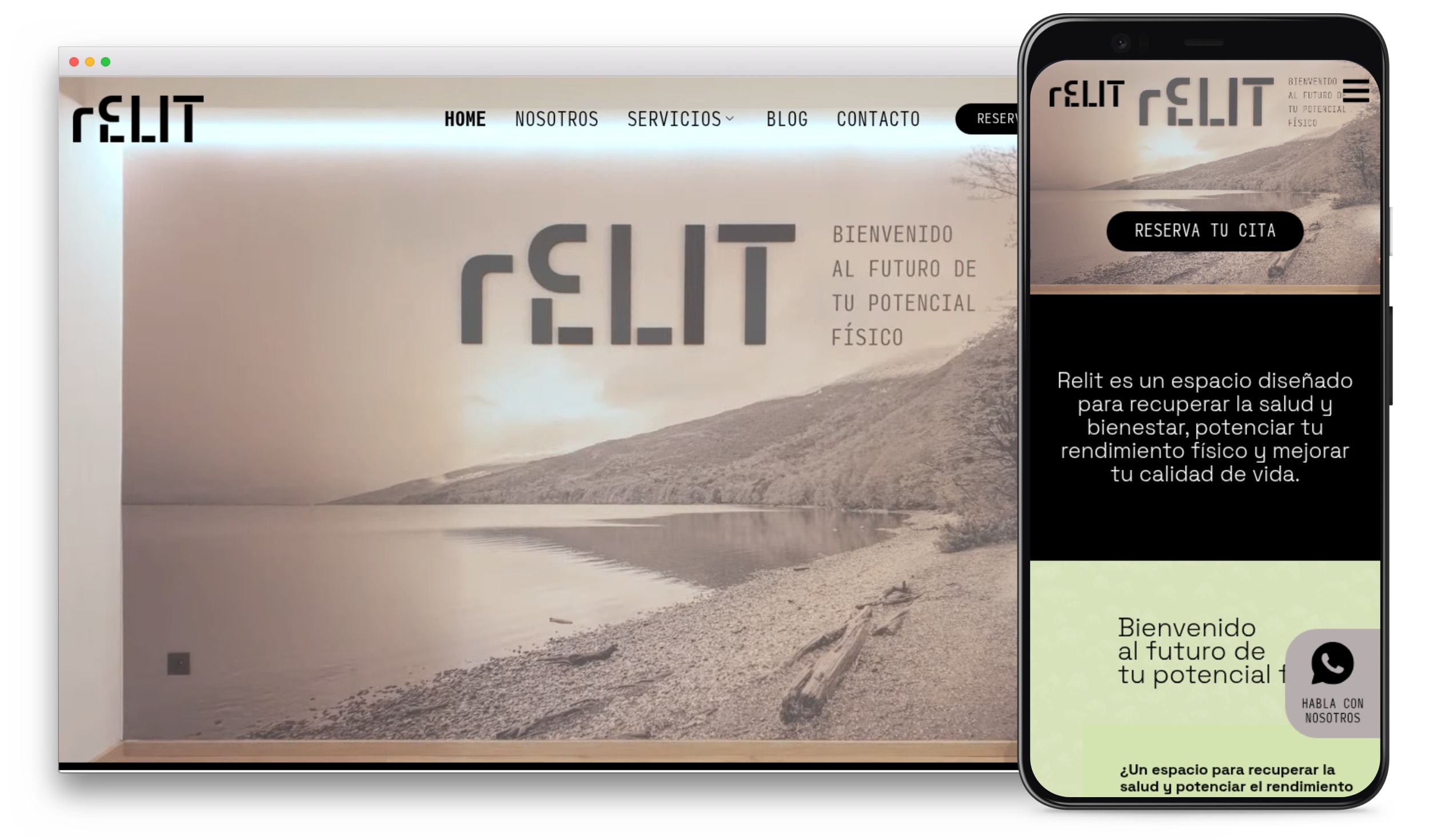 Relit website preview