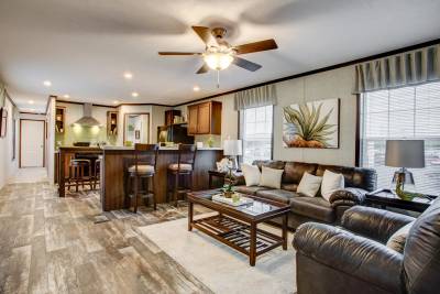 Living Room and Kitchen