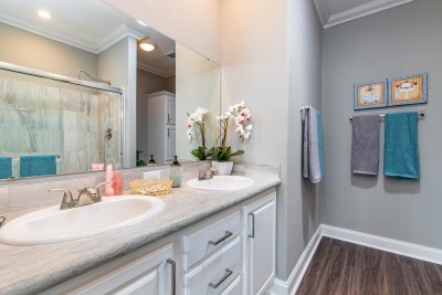 Silver-Springs-4892-Bath