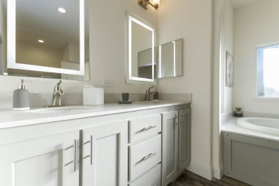 Master Bathroom 1