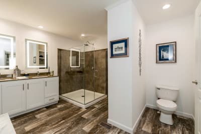 Catena Master Bath