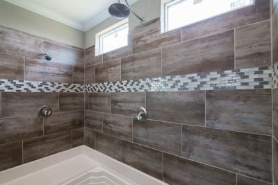 Master Bath Shower
