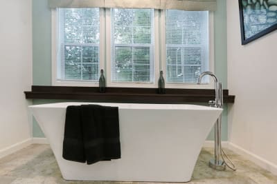 Master Tub