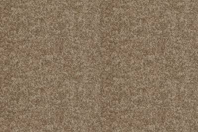 Shaw Floor Simply Stated Carpeting