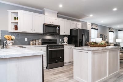 Gold Star 2868 245 kitchen