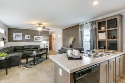 Living Room and Kitchen