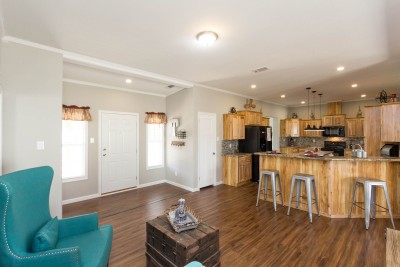 Living Room and Kitchen