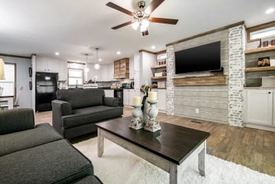 Living Room 1