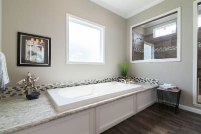 Master Bath Tub
