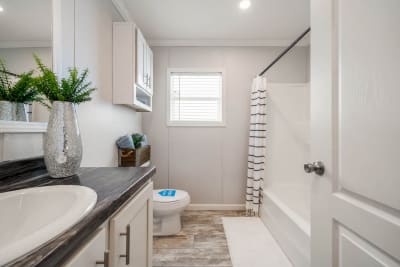 Regional Homes Ace primary bathroom