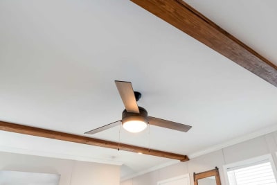 Regional Homes Pip living room ceiling fan