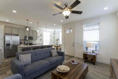 Living Room and Kitchen